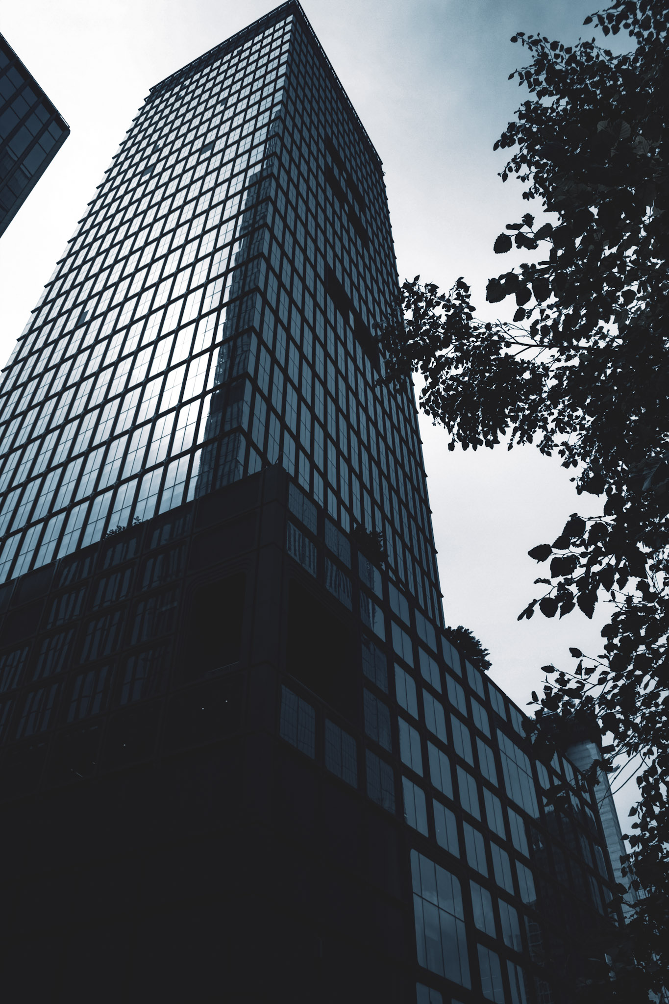 纽约建筑结构摄影丨美国纽约丨John D. Williams-13