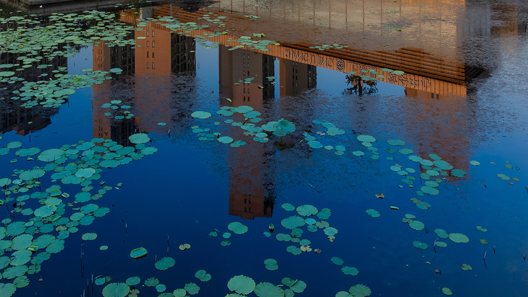 上荔晶时代餐厅(花山)丨中国武汉丨朗荷STUDIO-119