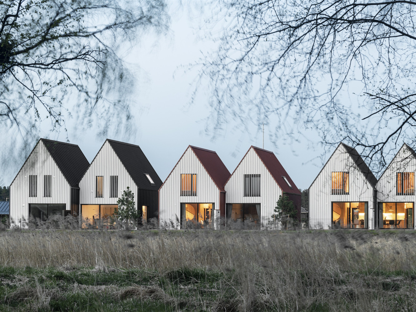 立陶宛 Palanga 住宅丨劳里纳斯·阿克维丘斯建筑师事务所-3