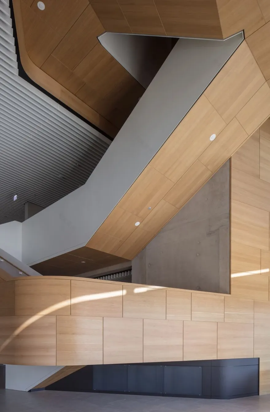 卢森堡国家图书馆丨Bolles + Wilson-32