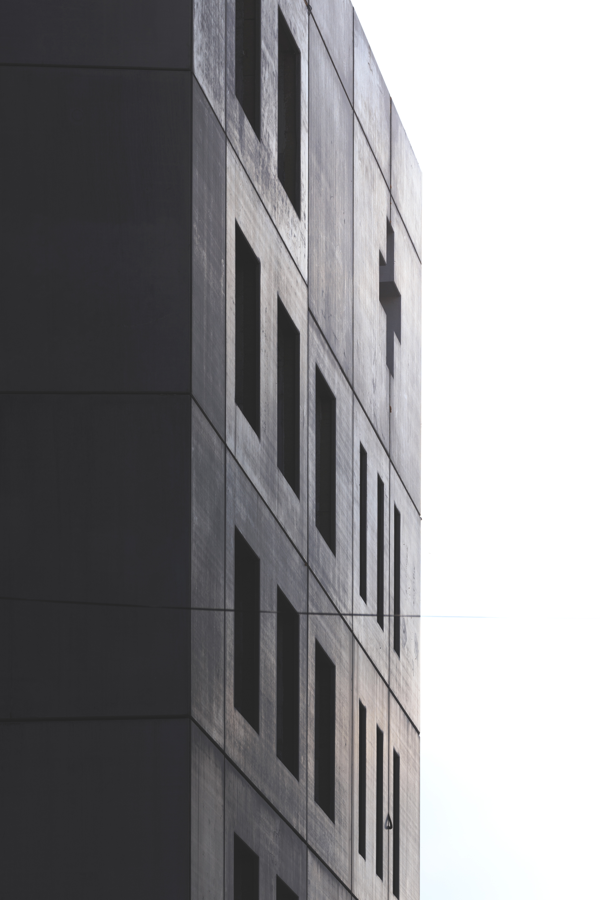 红新月地区健康与社会培训学院-7