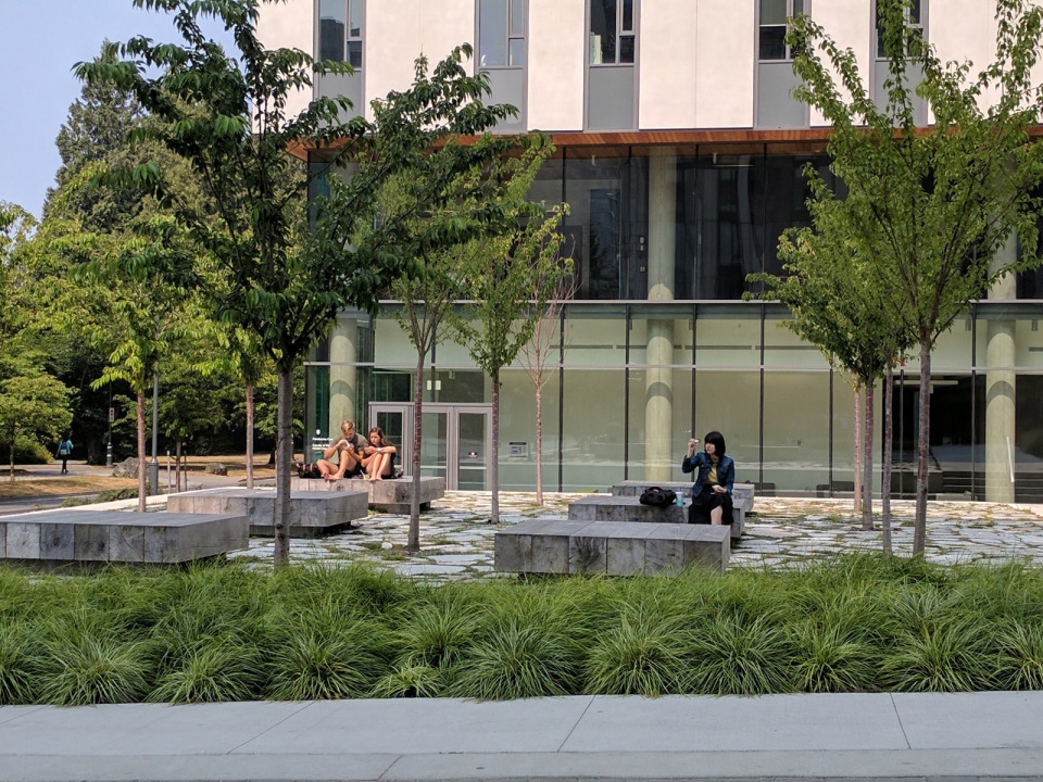 温哥华黄松木公共空间-17