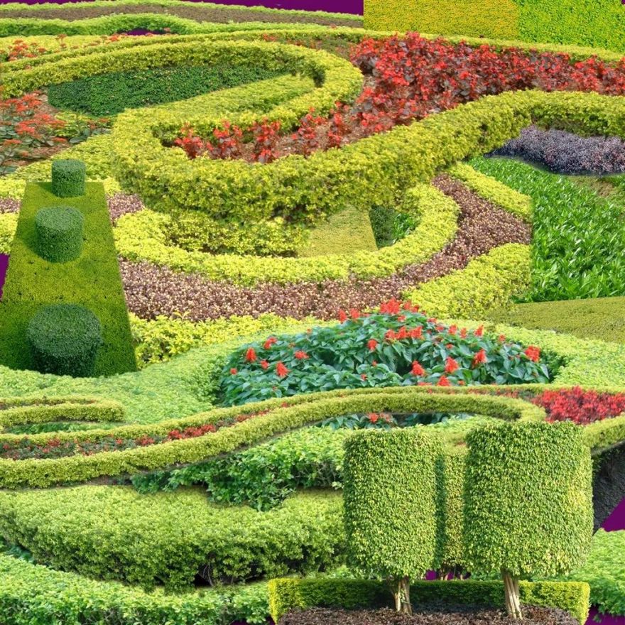 绿篱景观的多功能设计 | 空间、生态与美学的完美结合-57