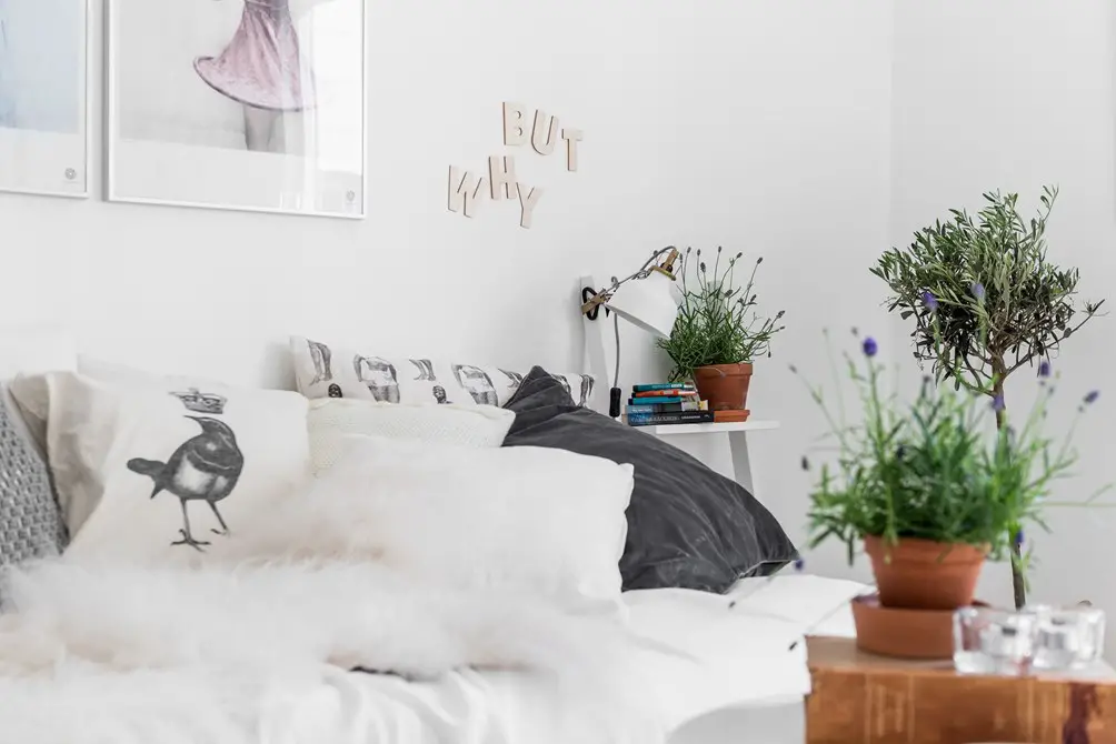 33 平米极简白色空间，打造专属单身女性的梦幻居所-6