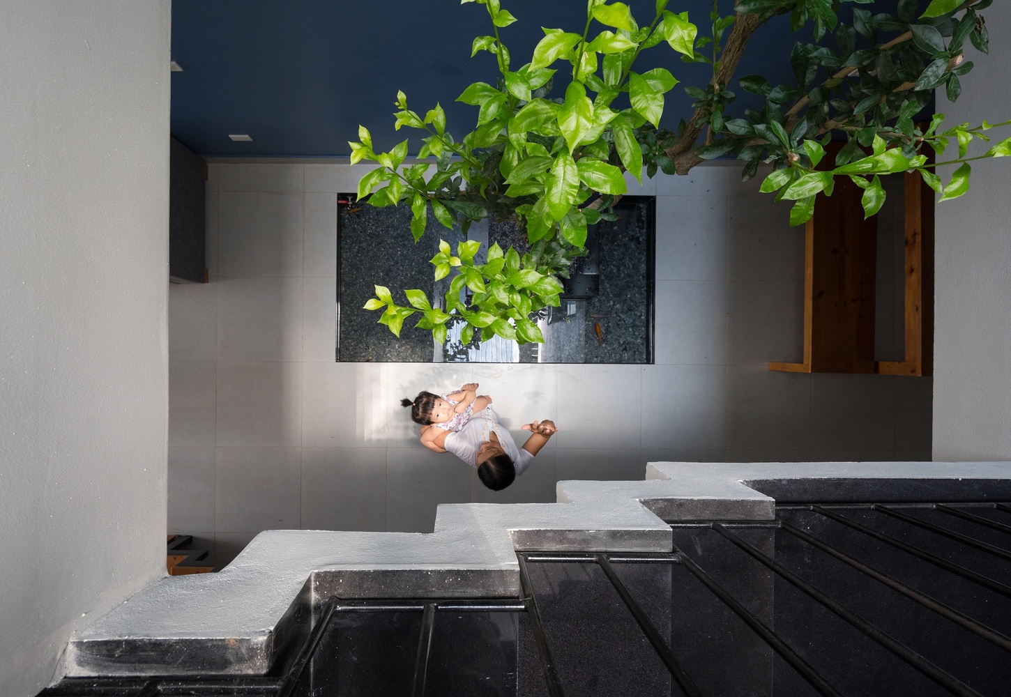 绿意盎然的光之屋-76