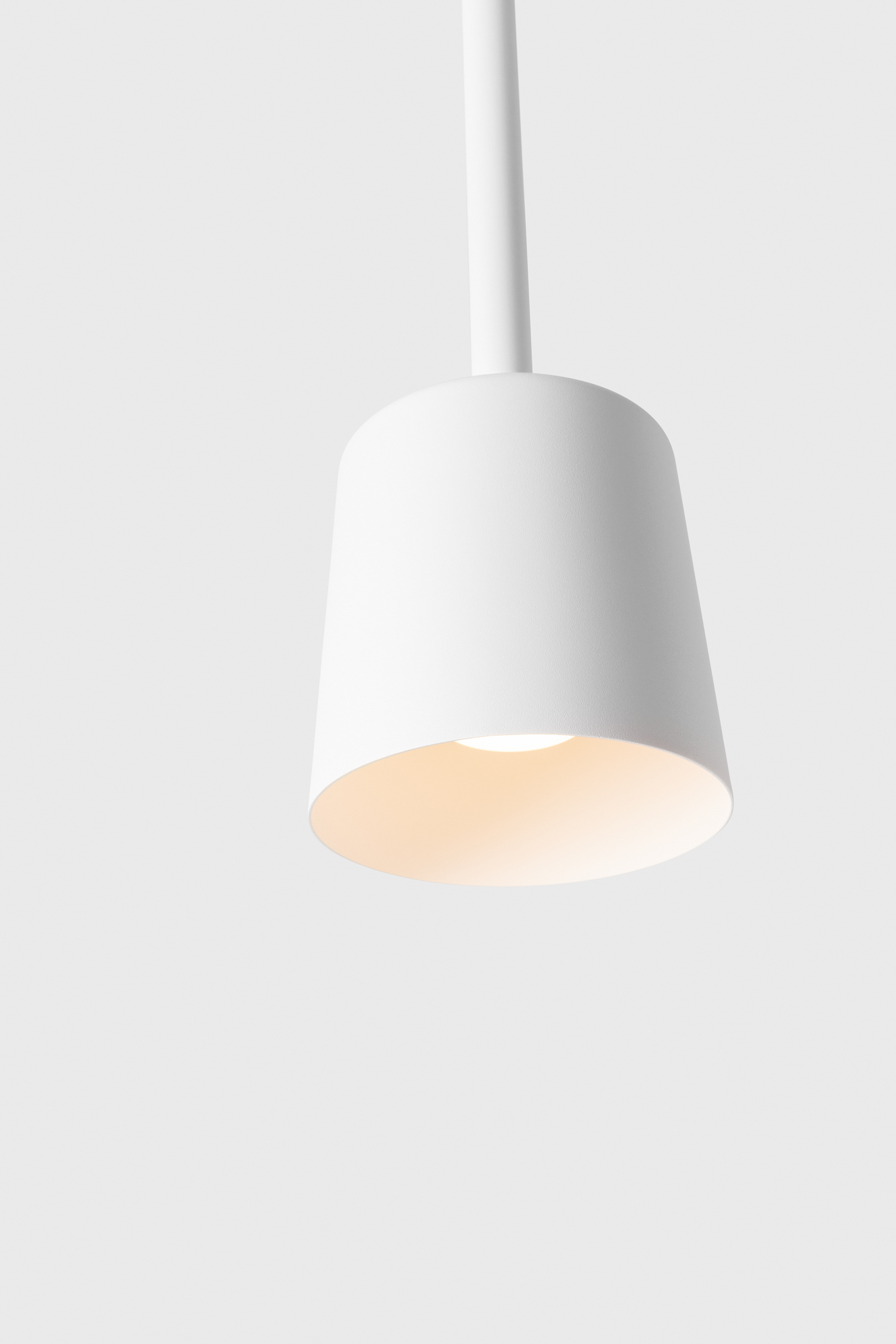 Tulip Bloom Suspended | Tulip | Architectural lighting | Modular Lighting Instruments-6