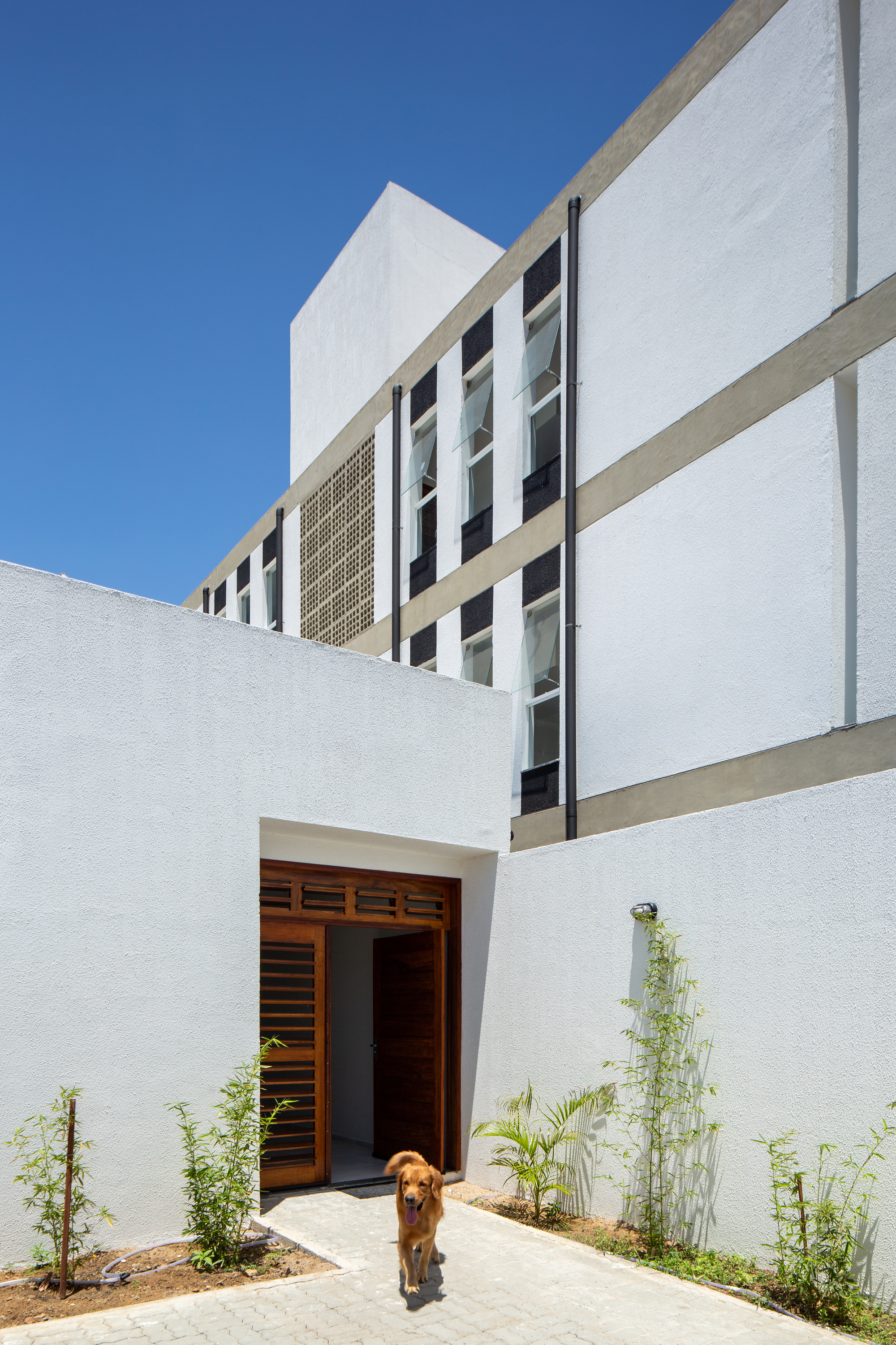 房屋+混合建筑 V2丨巴西丨Rede Arquitetos-12