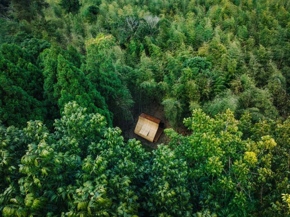 范承宗｜中小竹屋计划：粽子-15