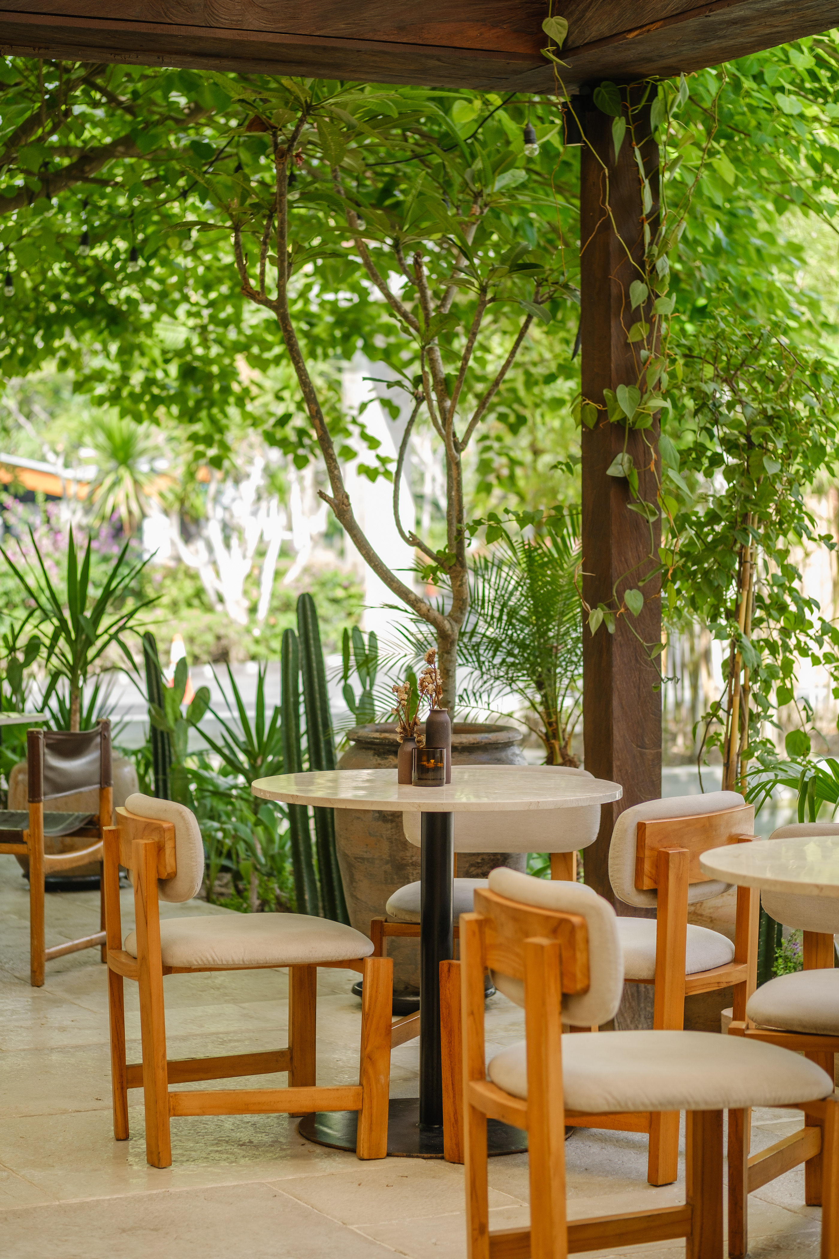 Nusa 餐厅丨印度丨Danang Seta-1