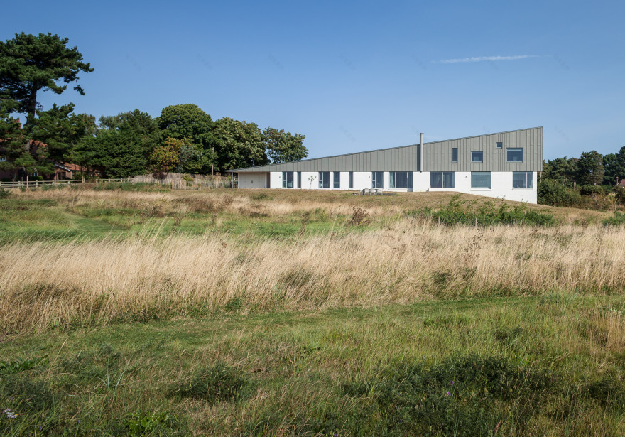 Mole Architects builds house "like a seagull's wing" on Suffolk coast-3