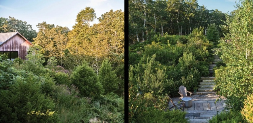 越橘之家丨美国丨Matthew Cunningham Landscape Design-35
