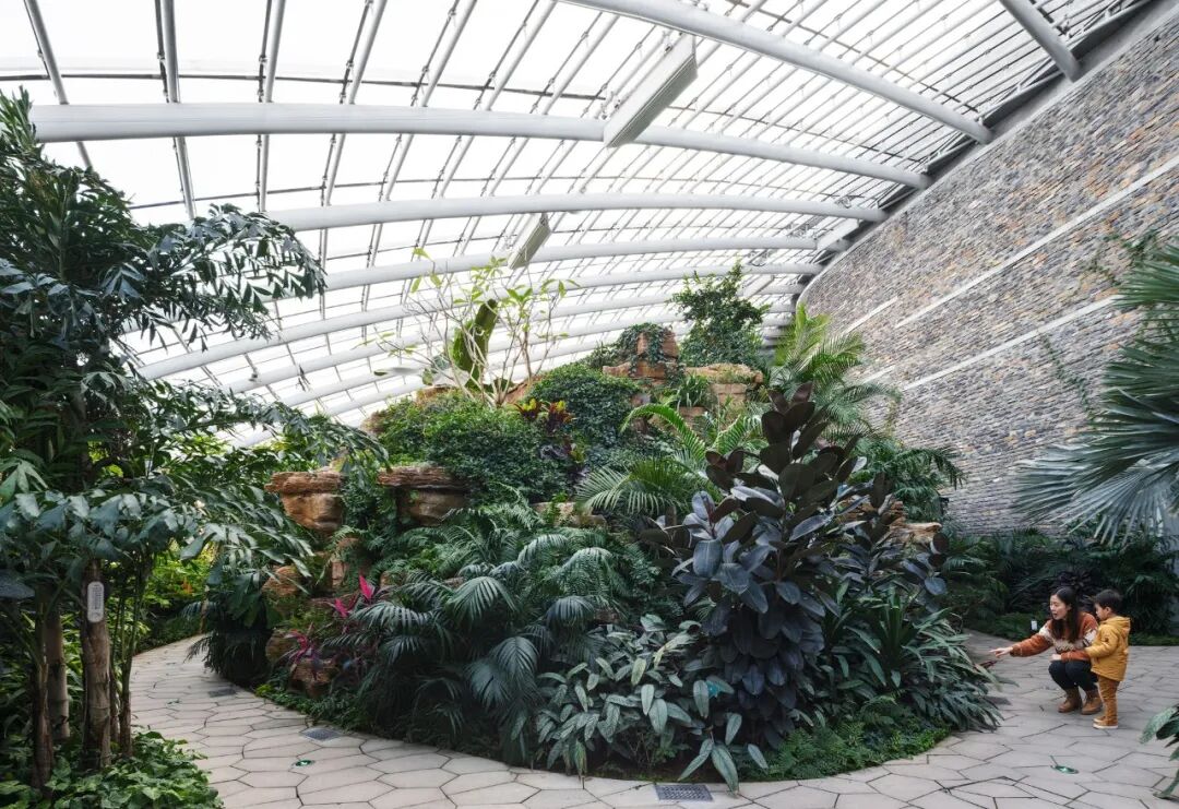 济南植物园科普馆丨中国济南丨中国建筑设计研究院-56