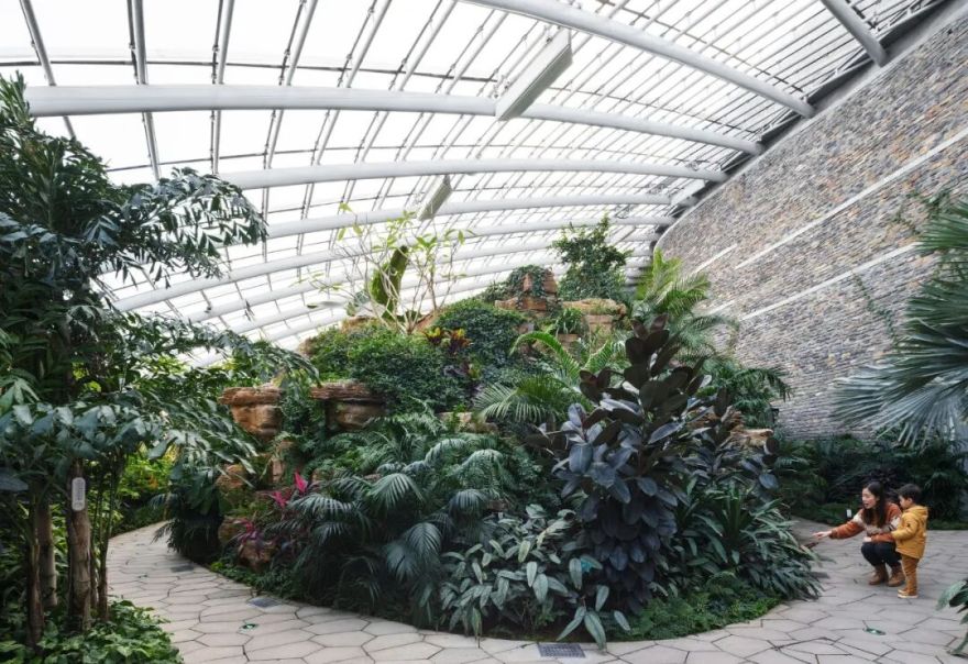 济南植物园科普馆丨中国济南丨中国建筑设计研究院-56