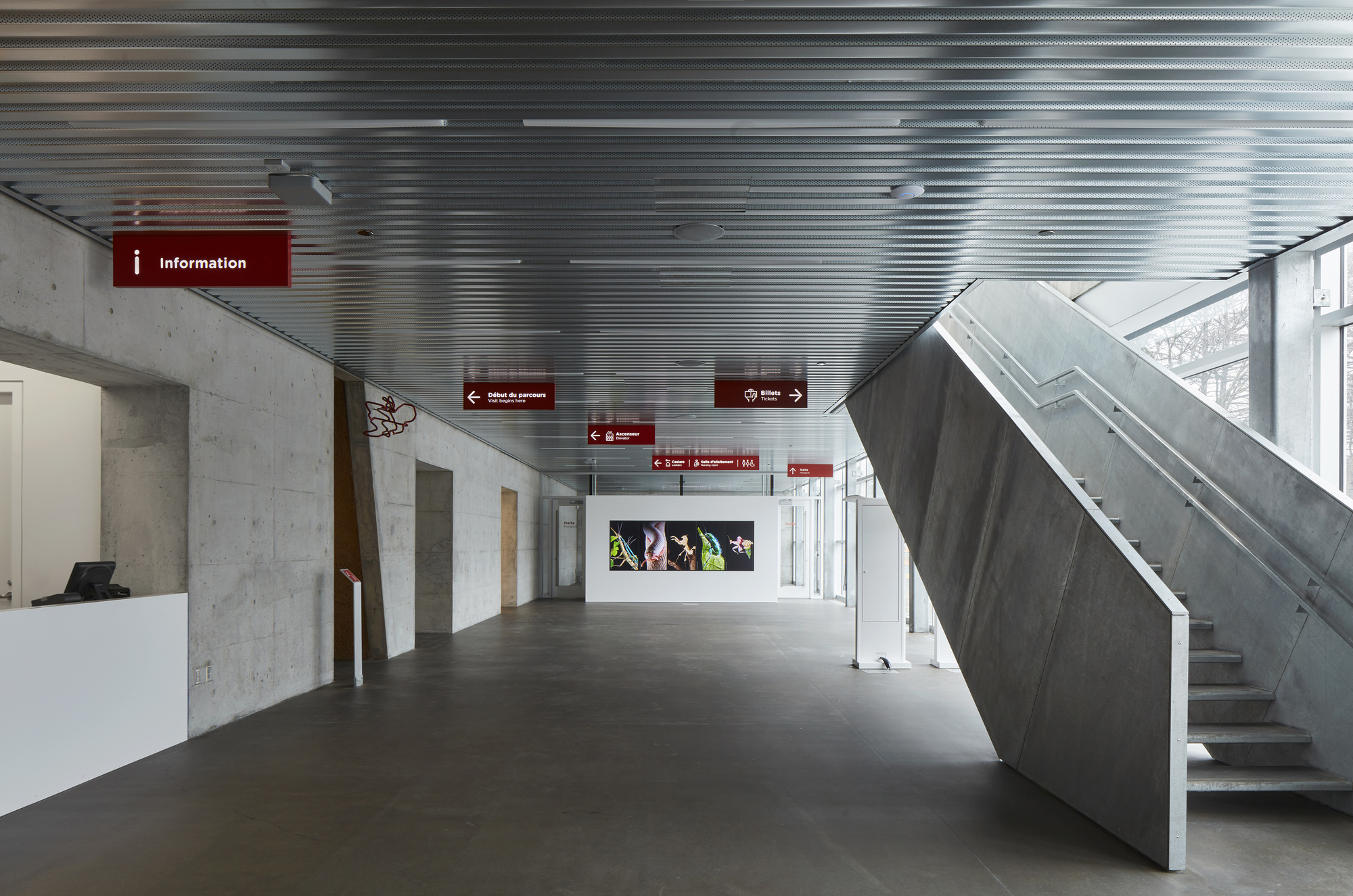 蒙特利尔昆虫馆丨加拿大蒙特利尔-22