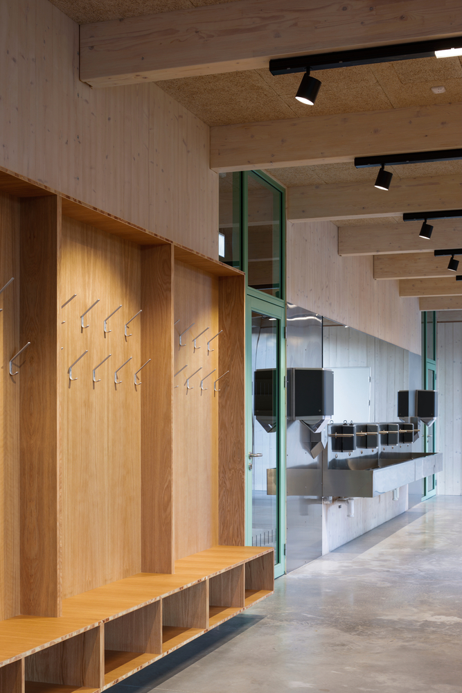 AVOTI 木结构办公楼丨拉脱维亚-30