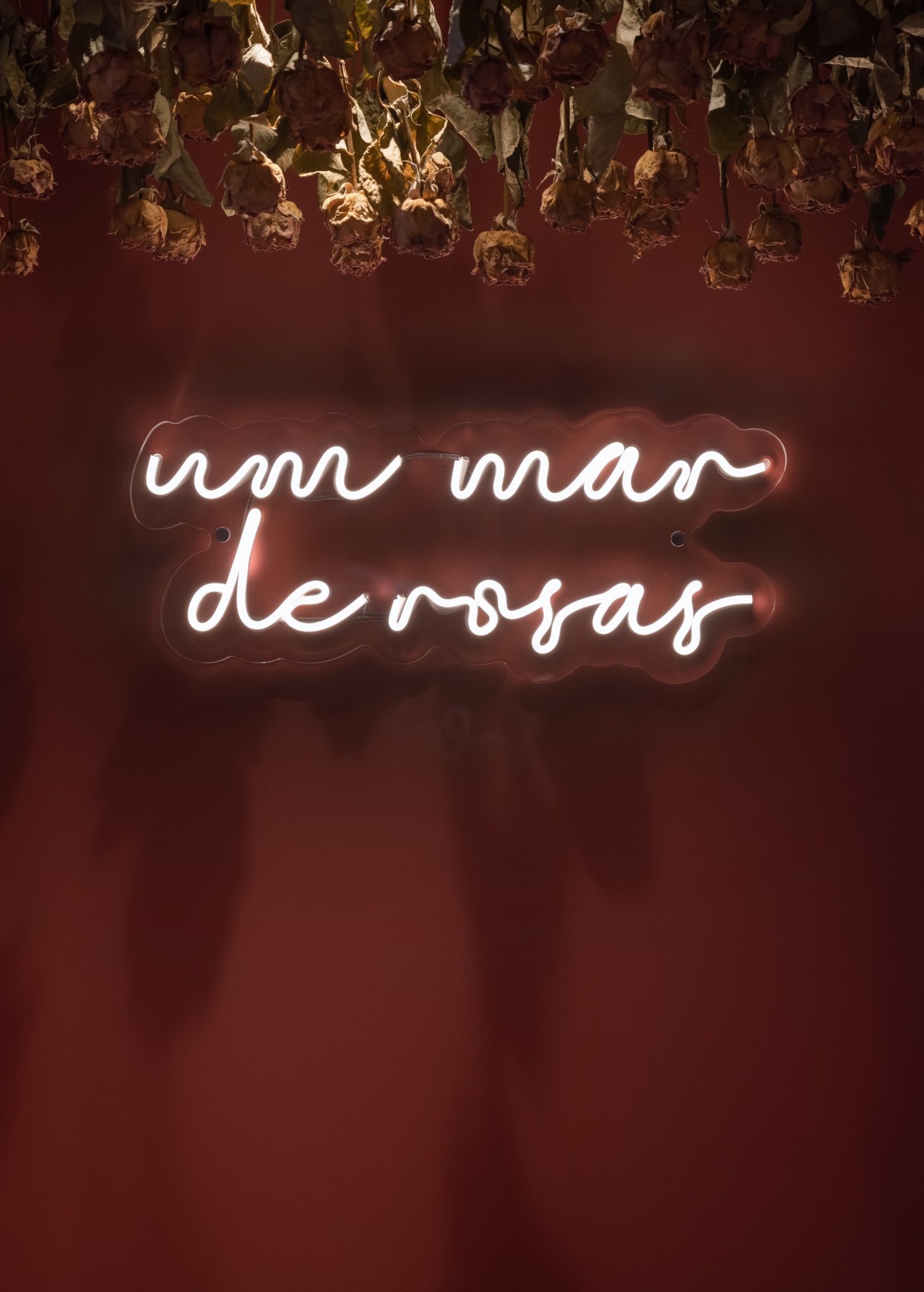 Romã Haus 概念店丨Freguesia Espaços com Experiência-18