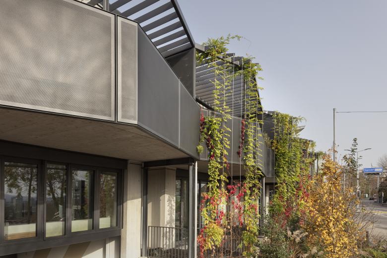 TK Architekten丨Erneuerung Wohn- und Geschäftshaus «Zum Bombach»丨瑞士-1