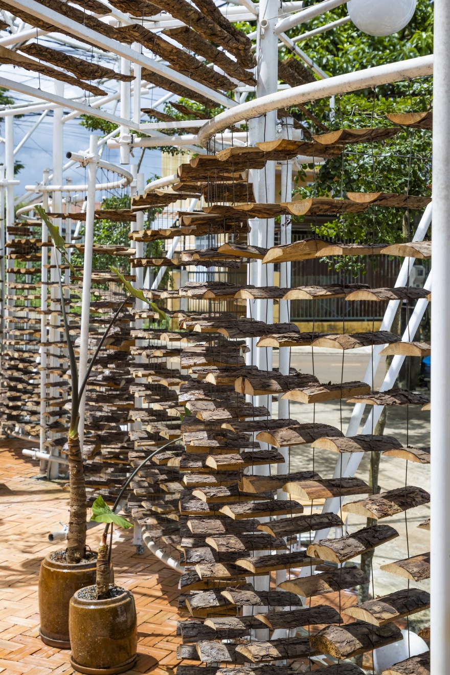 采茶,开花丨越南-42