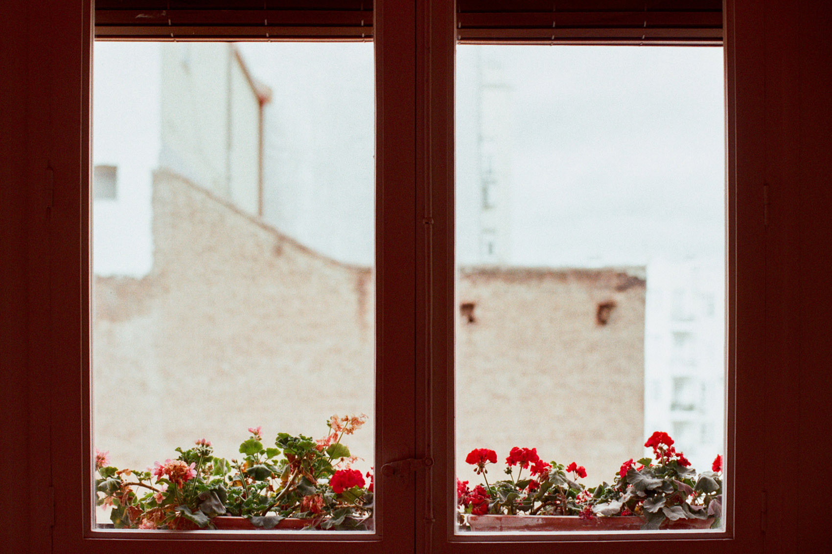 色彩之家丨西班牙马德里-55