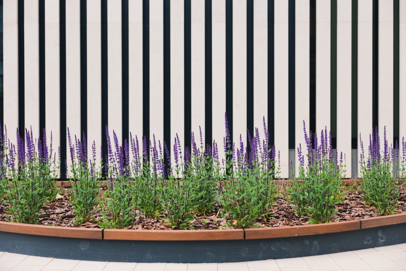 莫斯科 Renome KID’S LAB 多功能儿童乐园设计丨俄罗斯莫斯科丨AFA 景观设计局-34