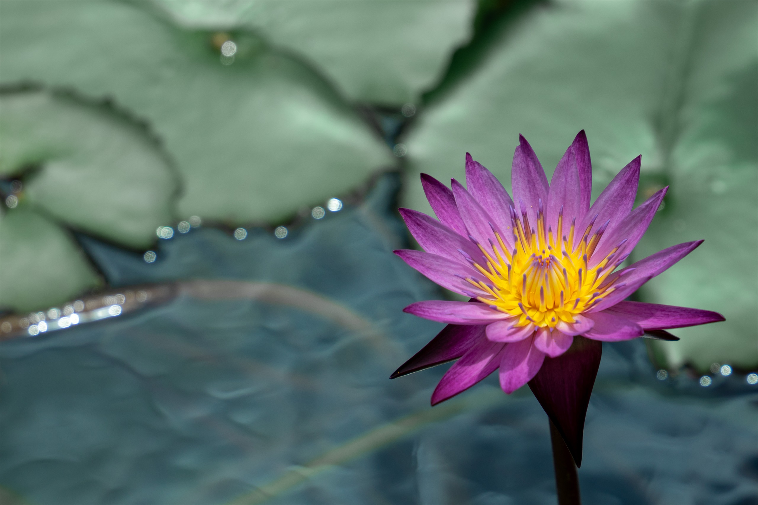 顺德乐从儿童公园丨中国佛山丨深圳市未名设计顾问有限公司(WMLA),深圳园策顾问设计有限公司-66