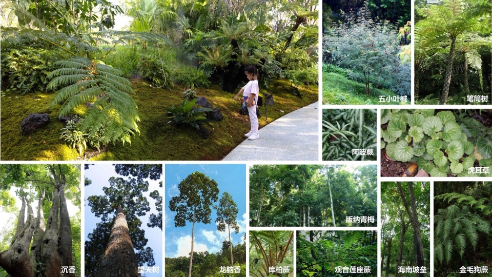 海棠河生态公园二期景观设计丨中国三亚丨LOLA Landscape Architects-73