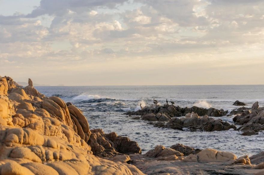 墨西哥卡沃德尔索尔柏悦度假村-129