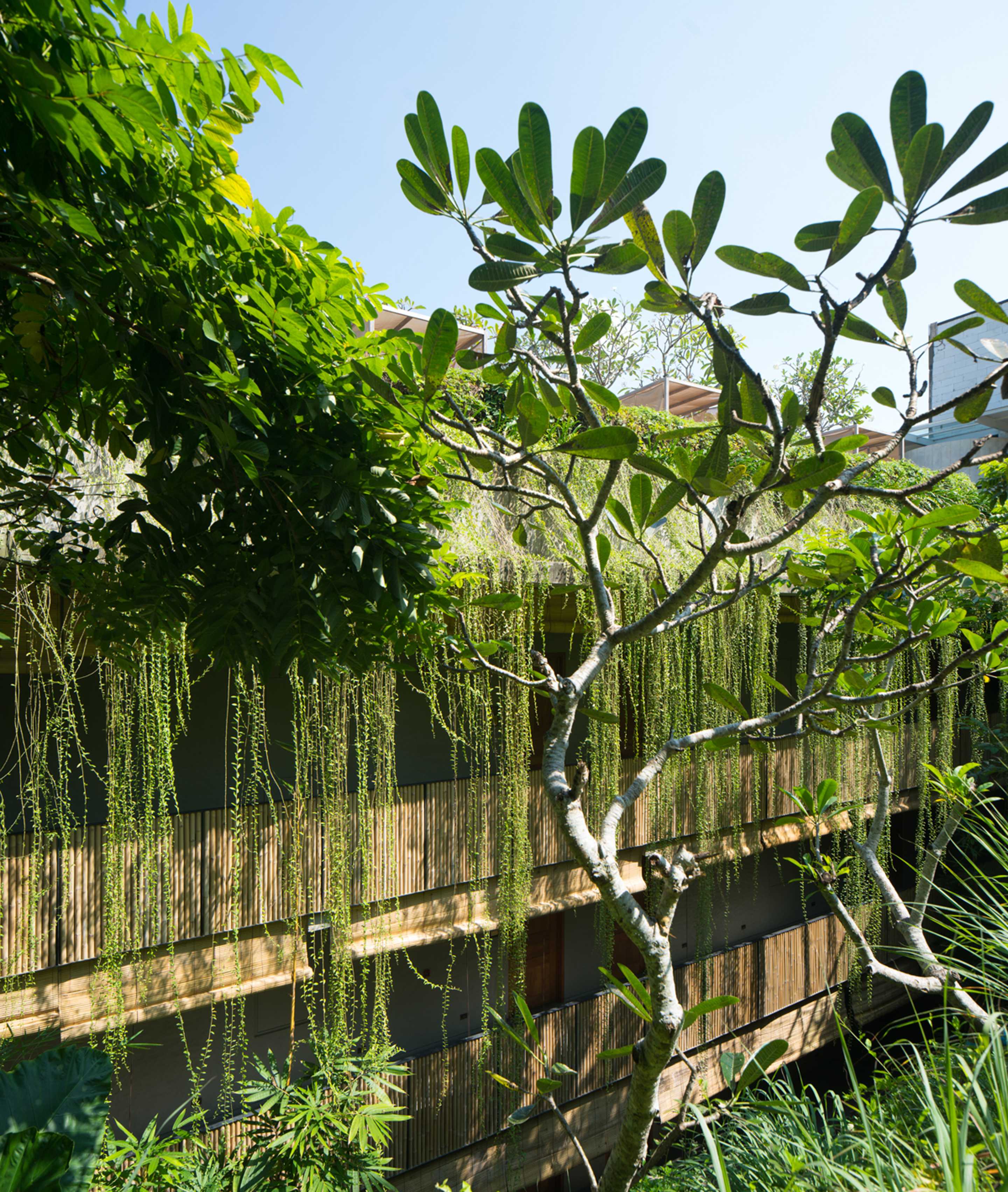 Bisma Eight 度假酒店-11