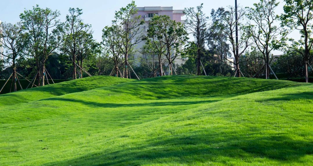  BOX盒子实践丨东莞珠江万科城 景观设计 丨中国广东-62