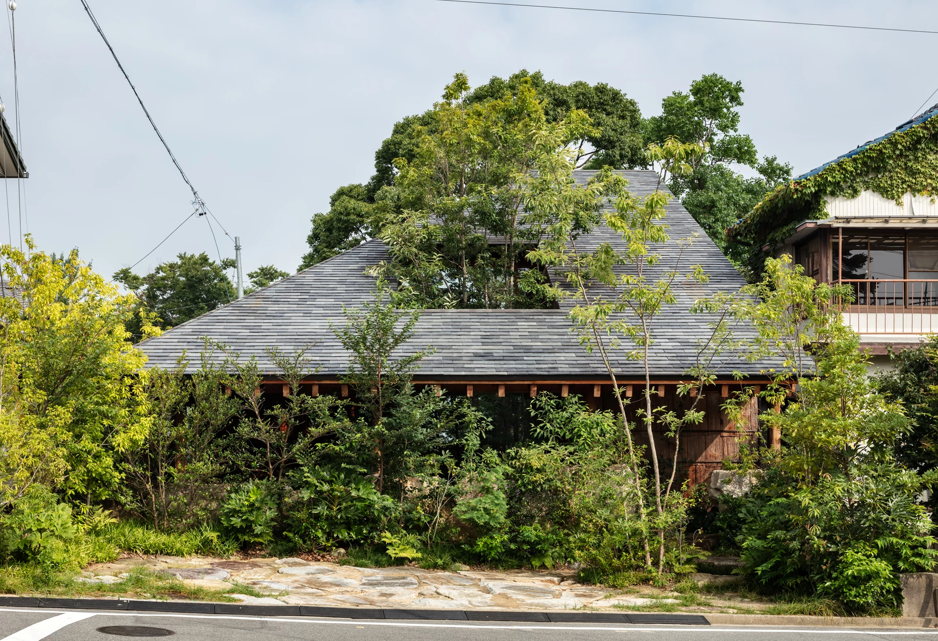 石头缝里的生机 · 大地之家的绿色创新设计-9