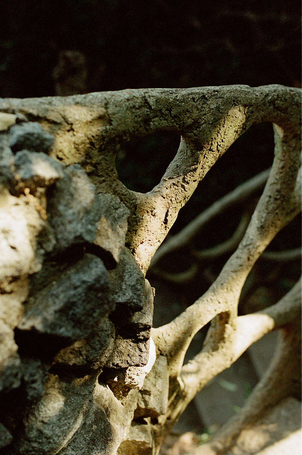 羽蛇神的巢穴丨墨西哥丨Javier Senosiain Aguilar-80