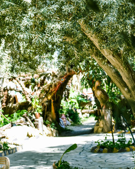 Camp Outdoor - Siwa Oasis
