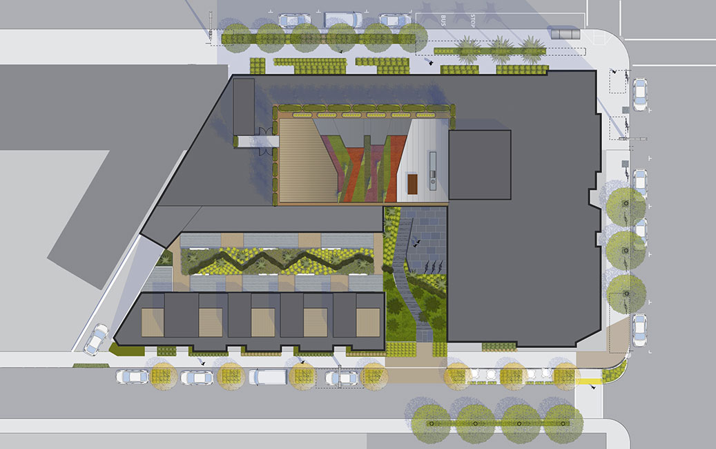 300 Ivy 住宅区的绿色攀登之旅-30