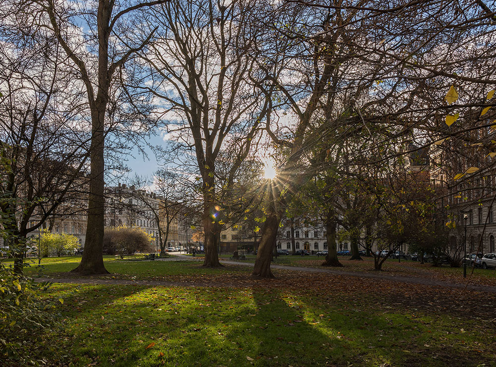 宁静优雅的斯德哥尔摩经典公寓-6