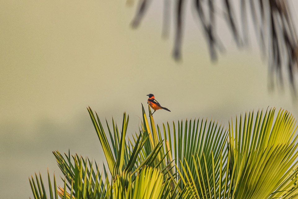 Casa Daia度假屋丨巴西塞阿拉丨UNA barbara e valentim-75