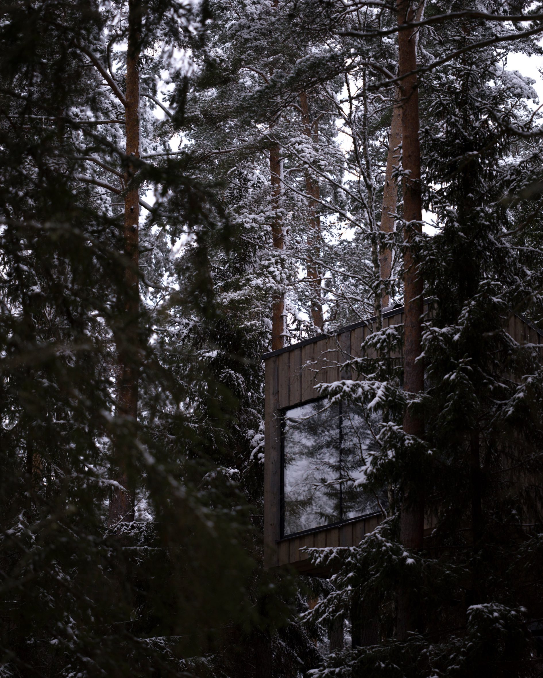 瑞典 Trakt 森林酒店 | 用环保设计融入大自然的怀抱-11