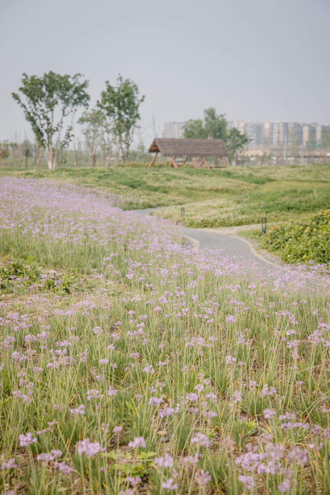 天府绿道·萌宠乐园｜良相设计-12