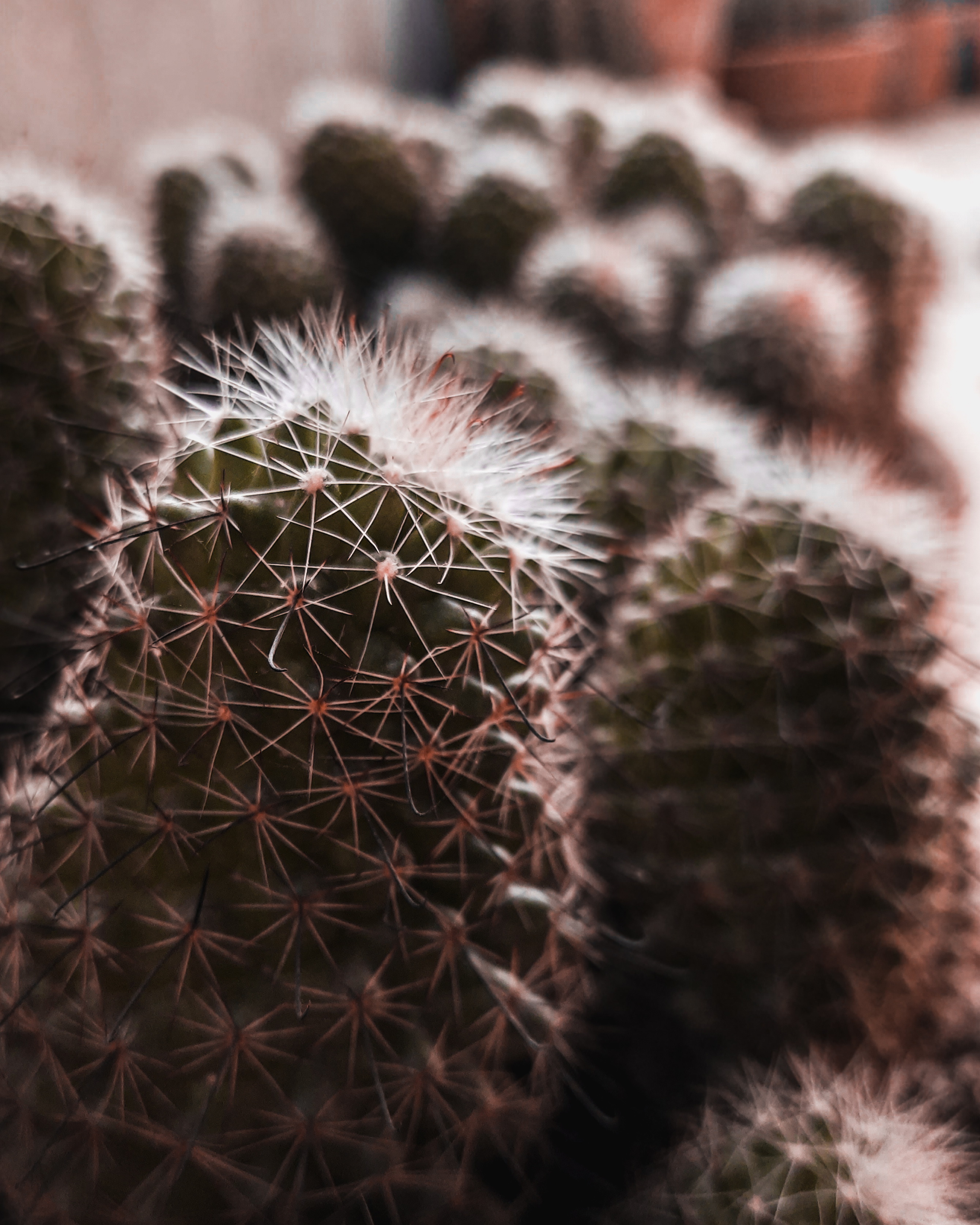 photos captured in a nursery-3