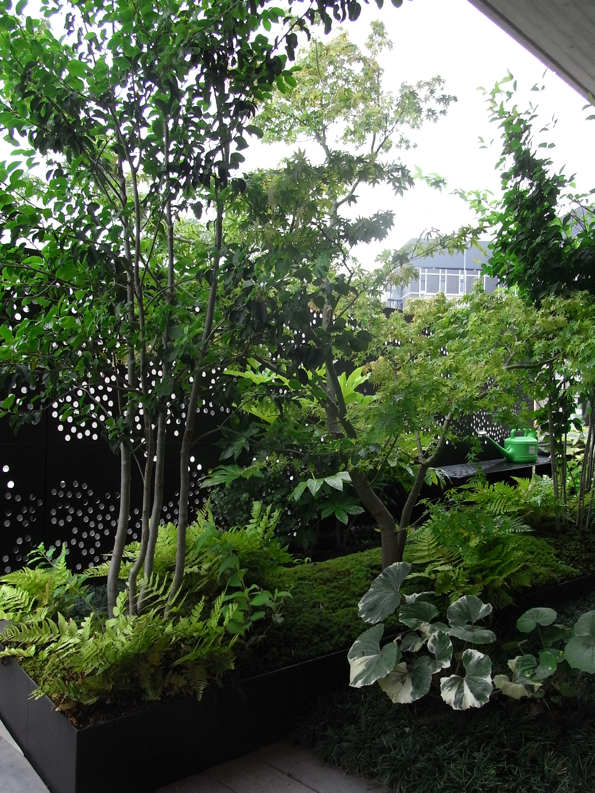 一番町弘和ビル屋上庭園丨松田平田设计-36