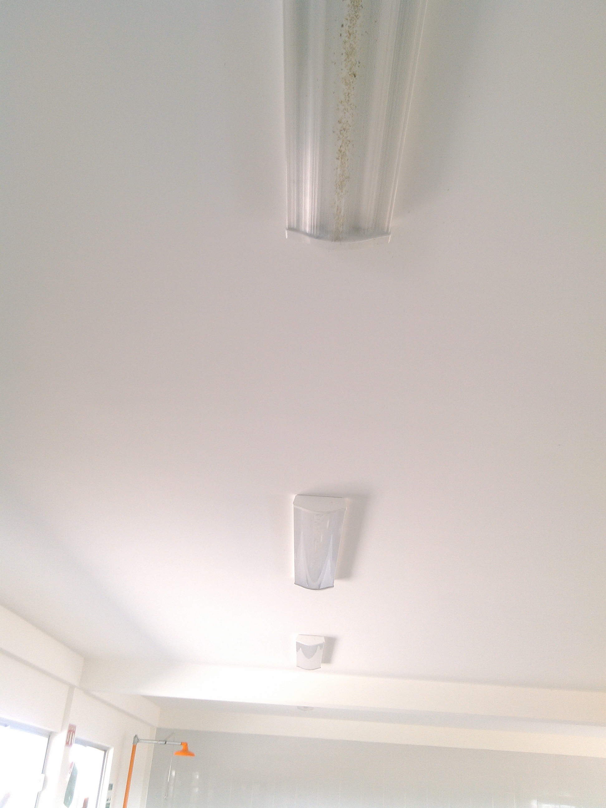 PROYECTO "LABORATORIOS DE ANÁLISIS DE TIERRAS Y AGUAS"-52