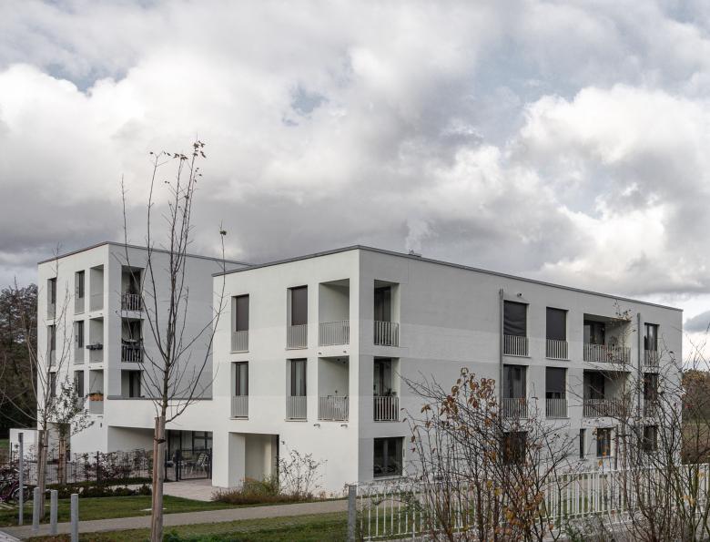 在草地边缘 布肯霍夫丨德国-18