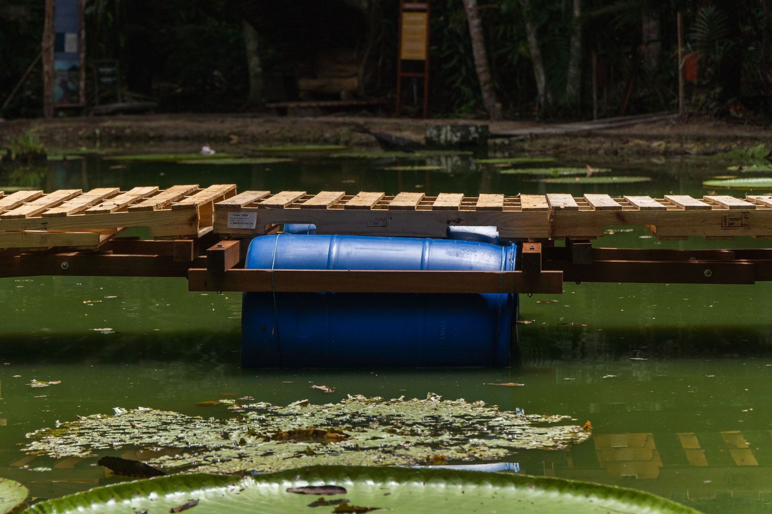 巴西玛瑙斯浮桥丨Colectivo Aqua Alta-22