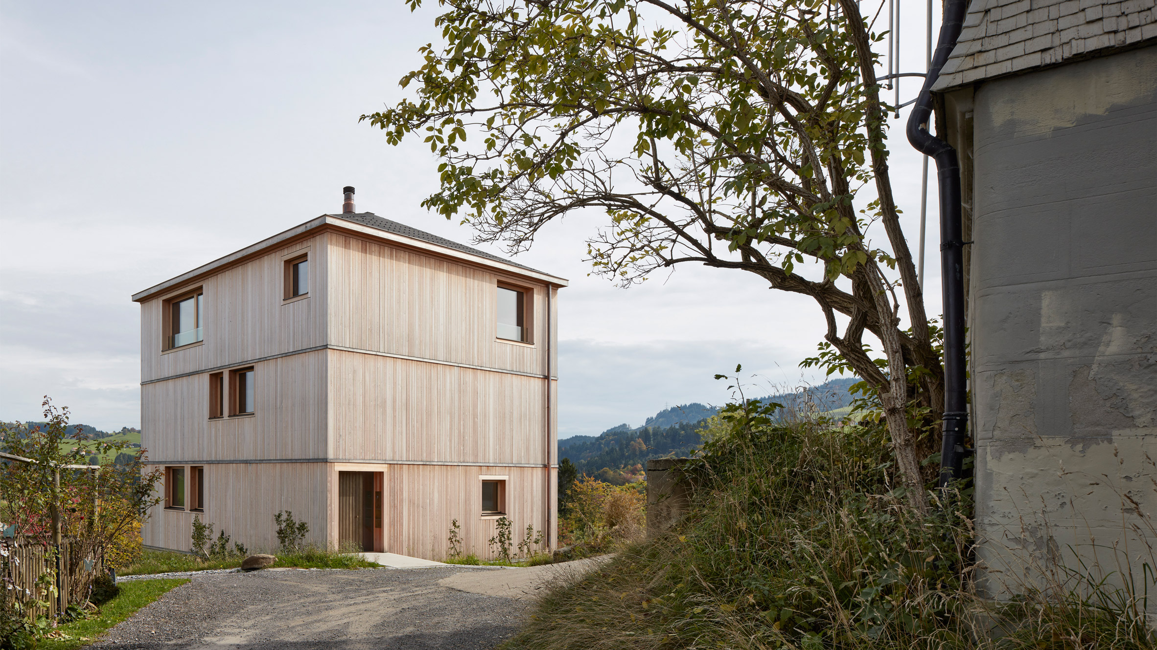 Bernardo Bader references traditional Alpine architecture in larch home for art collector-0