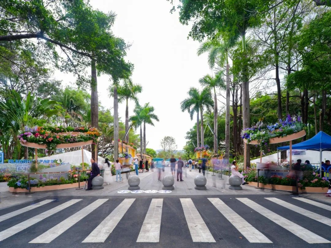 2024粤港澳大湾区花展主会场 | 深圳笔架山体育公园-24