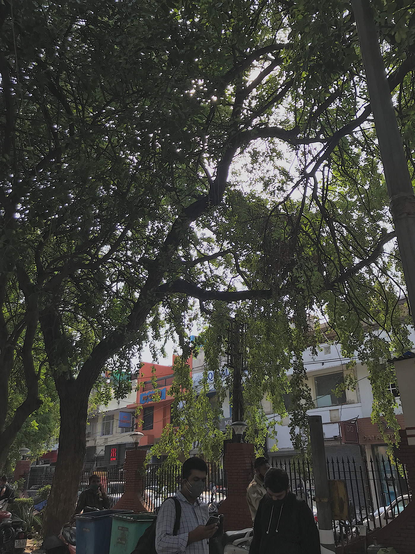 印度德里豪华公寓设计-6