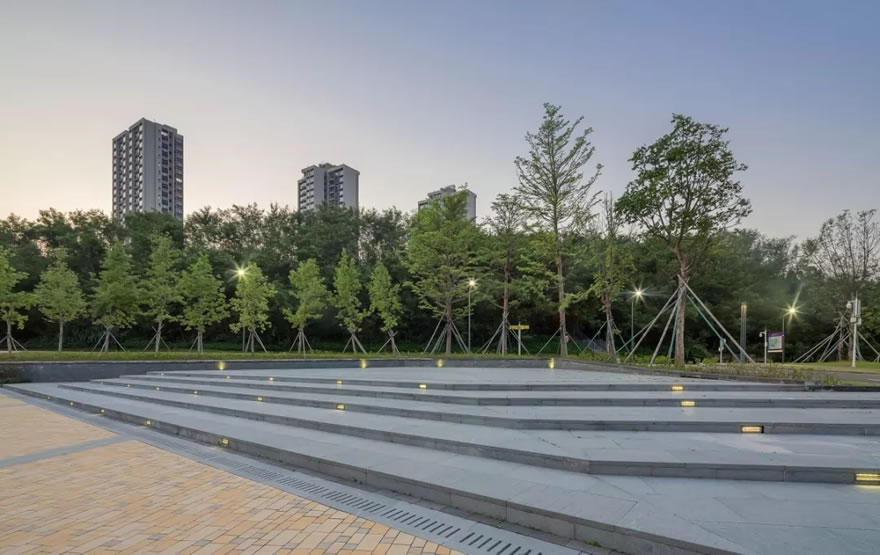 香港中文大学（深圳）思廷学院丨中国深圳-61