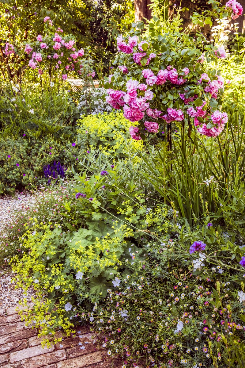 圣基兰城堡公园内400平方米英式田园风花园丨法国丨Opus Paysage  Alexandre Tonnerre-8