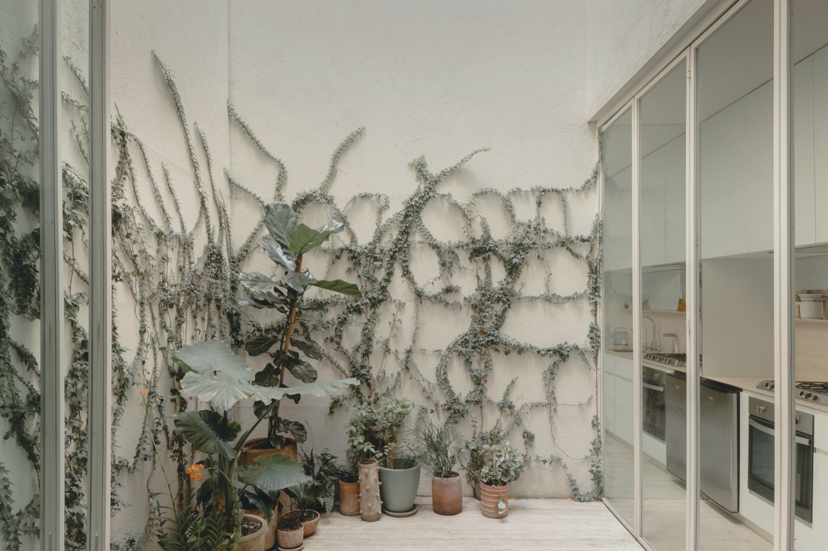 Antonio Solá公寓楼,墨西哥 / Módica Ledezma-28