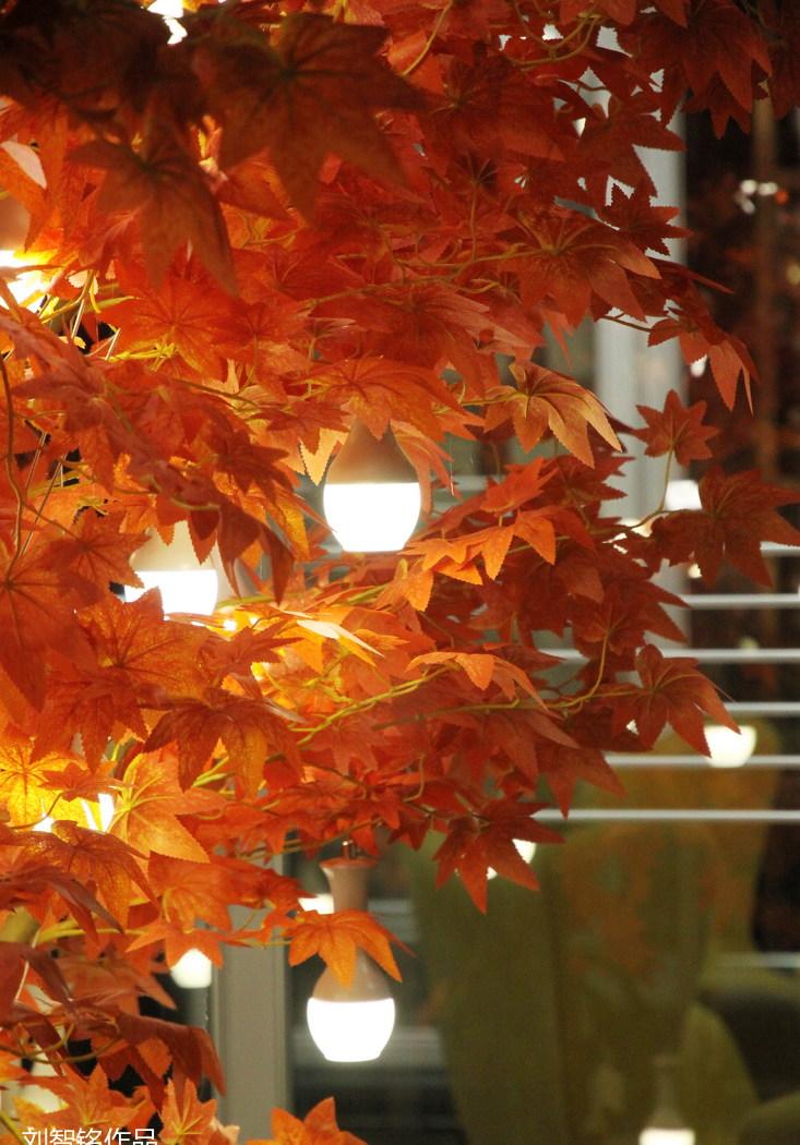 
力帆铝业展厅睿博尊门三号馆 -13