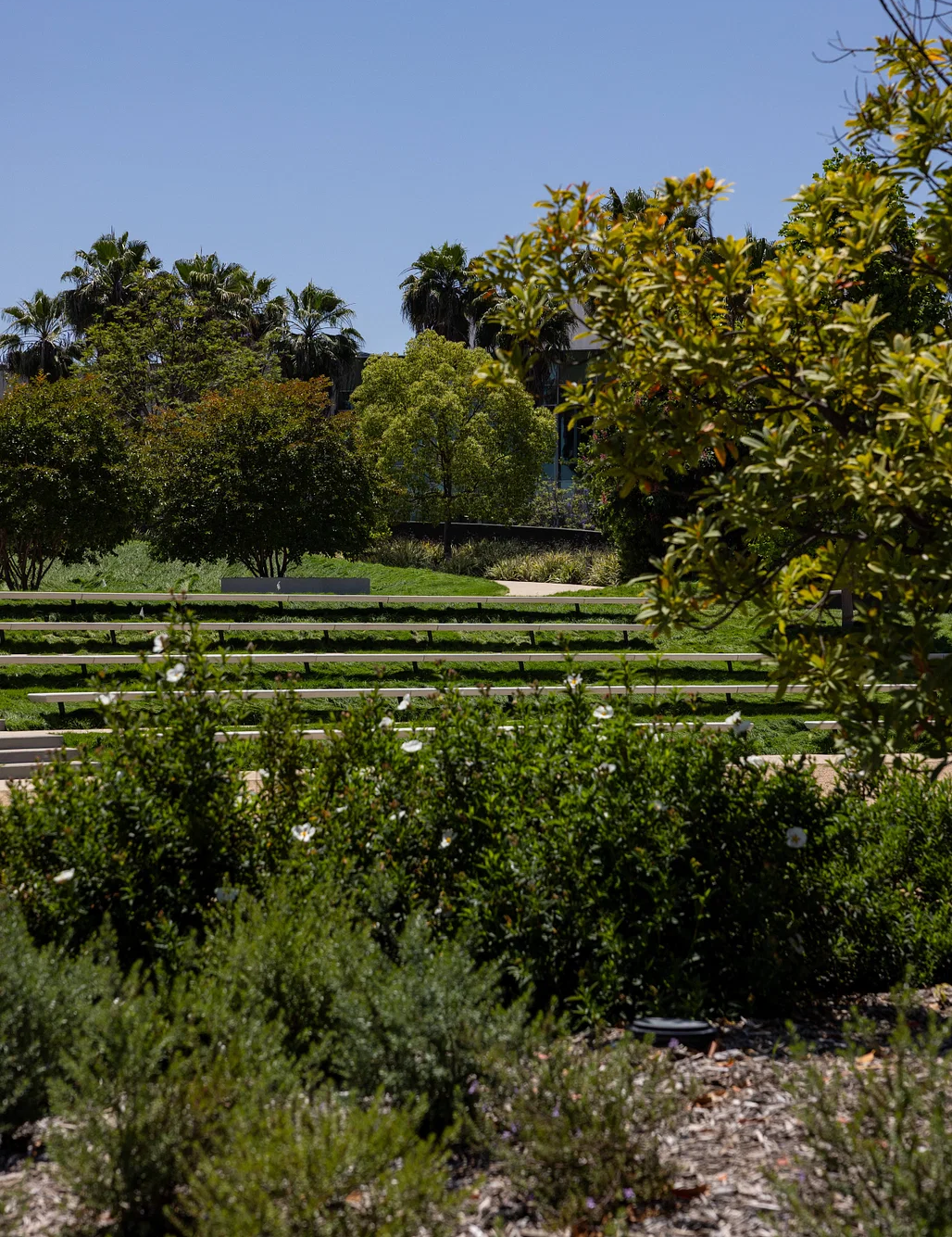 美国卢卡斯叙事艺术博物馆丨美国洛杉矶丨马岩松,MAD建筑事务所,斯坦特克事务所-13